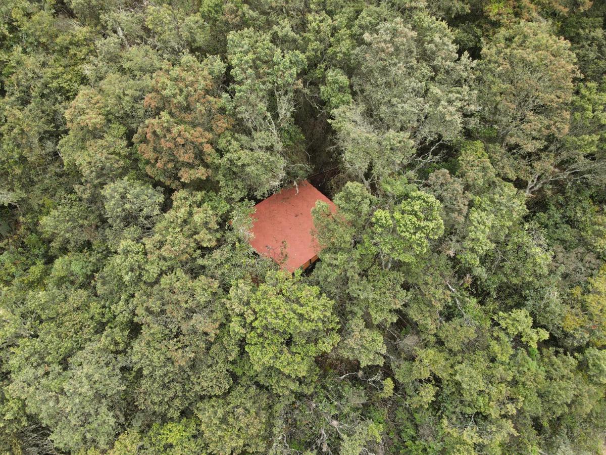 Mirador Bosque Gran Torino Neusa Cogua المظهر الخارجي الصورة