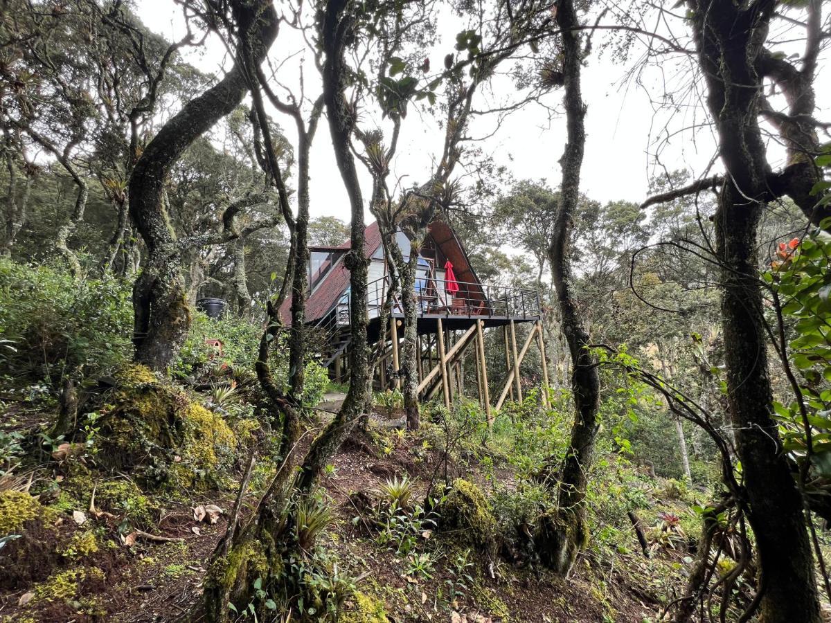 Mirador Bosque Gran Torino Neusa Cogua المظهر الخارجي الصورة