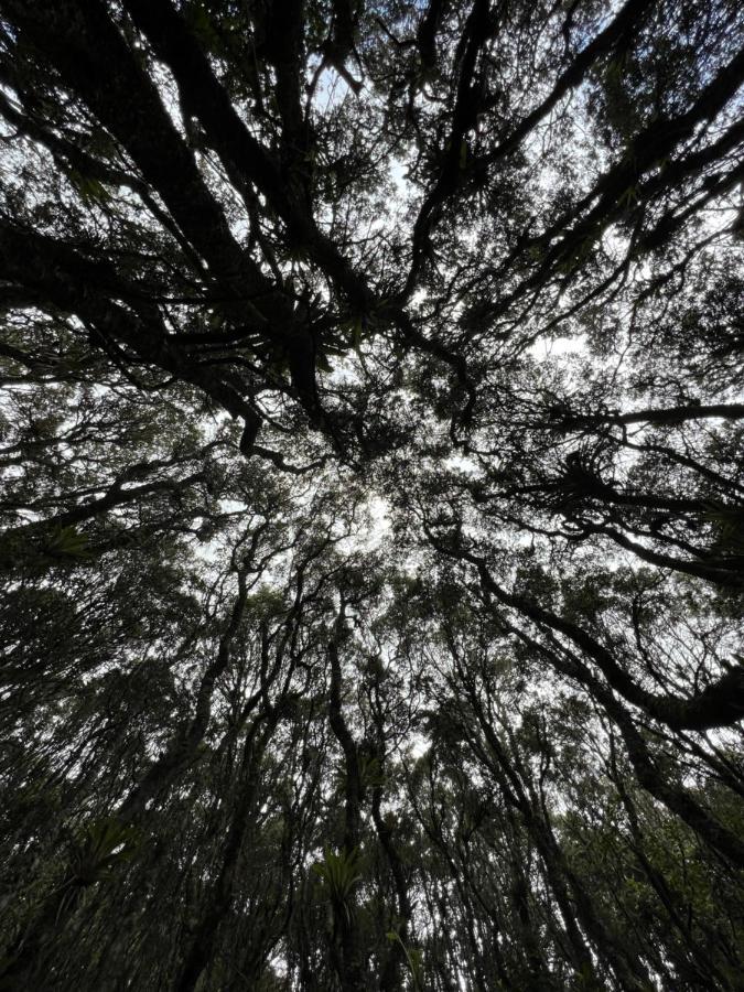 Mirador Bosque Gran Torino Neusa Cogua المظهر الخارجي الصورة